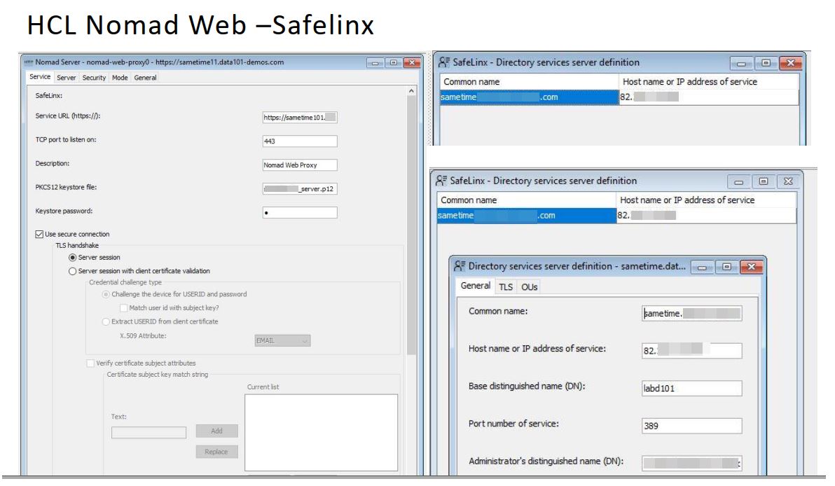 HCL Safelinx